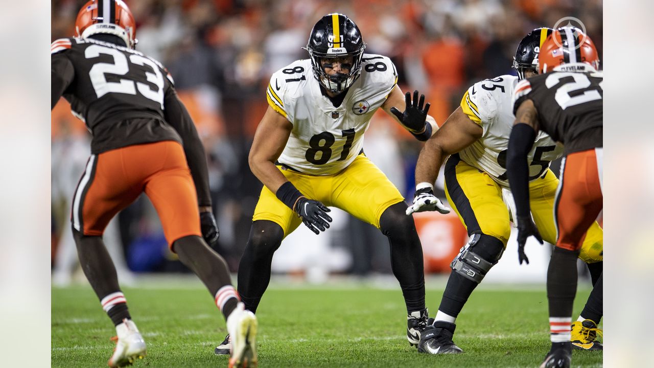 Pittsburgh Steelers tight end Zach Gentry (81) looks on during an NFL  football game, Sunday, Oct. 2, 2022, in Pittsburgh, PA. (AP Photo/Matt  Durisko Stock Photo - Alamy