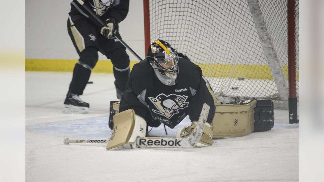 Marc-Andre Fleury to wear Steelers-inspired mask during Stadium Series  (Photo)