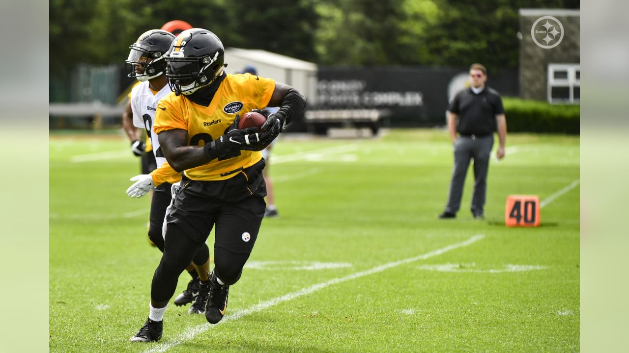 Zach Banner, Devin Bush make appearance on field during Steelers' OTA  session