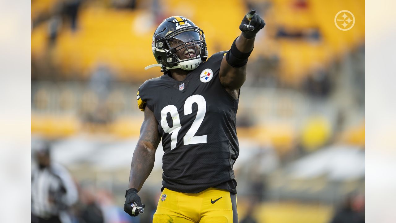 2020 Steelers season review: Linebackers