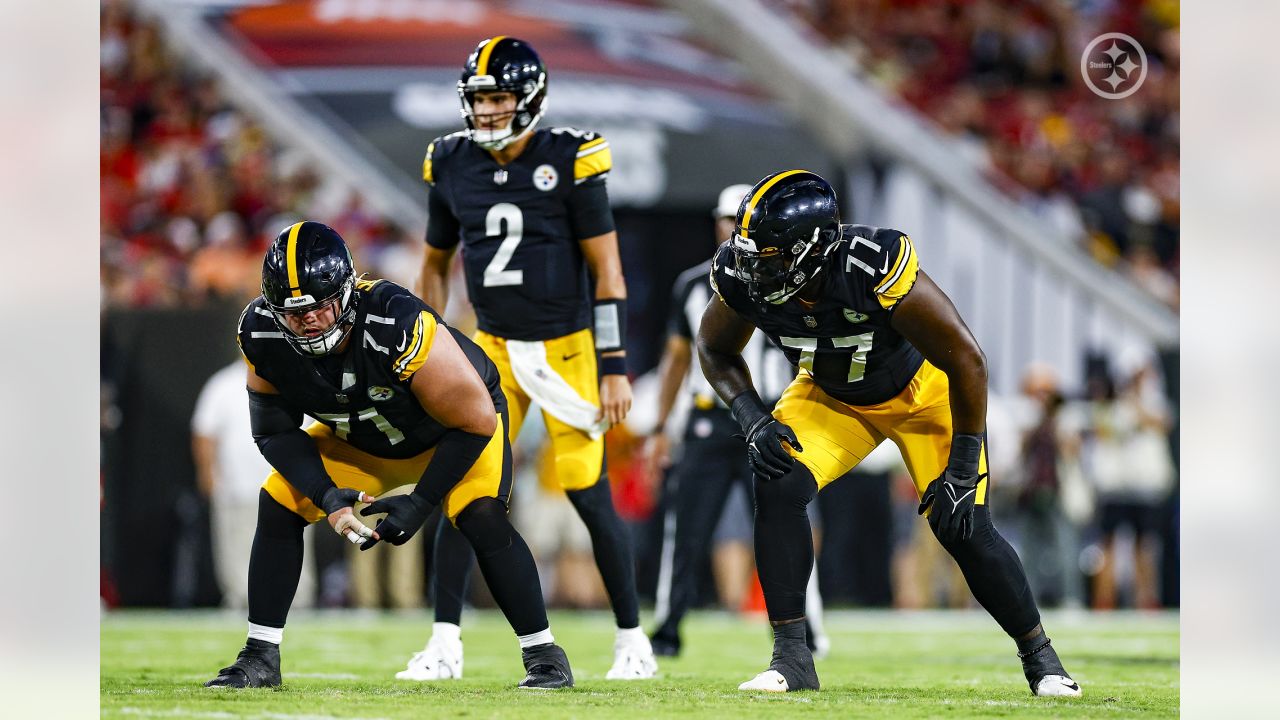 Pittsburgh Steelers linebacker Mark Robinson (93) rushes the quarterback  during an NFL preseason football game against the Tampa Bay Buccaneers,  Friday, Aug. 11, 2023, in Tampa, Fla. (AP Photo/Peter Joneleit Stock Photo  - Alamy