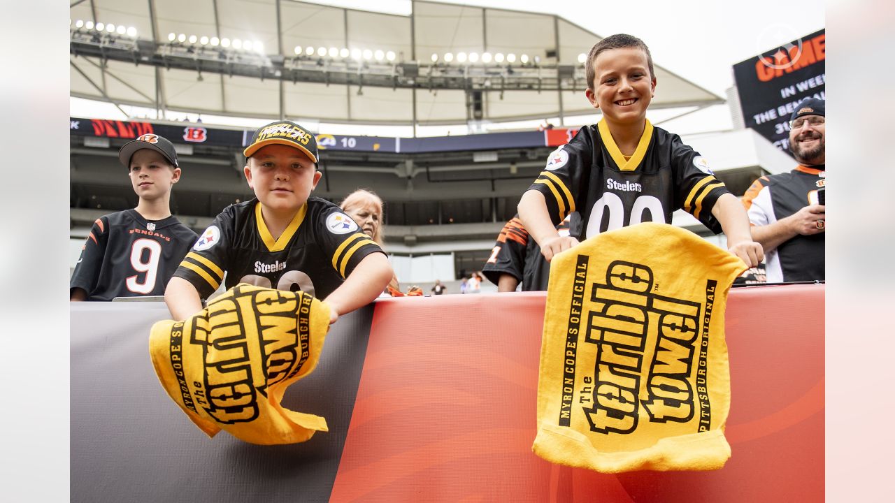 Pittsburgh Steelers, Cincinnati Bengals fans offered Pro Football Hall of  Fame discount 