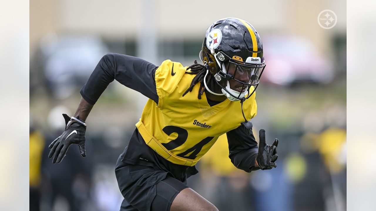 Pittsburgh Steelers safety Donald Washington (9) during NFL football rookie  minicamp, Saturday, May 7, 2016 in Pittsburgh. (AP Photo/Keith Srakocic  Stock Photo - Alamy