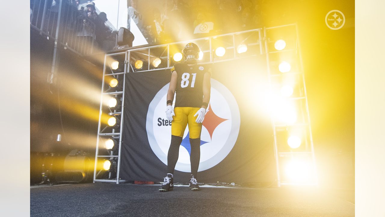 Pittsburgh Steelers tight end Zach Gentry (81) looks on during an NFL  football game, Sunday, Oct. 2, 2022, in Pittsburgh, PA. (AP Photo/Matt  Durisko Stock Photo - Alamy