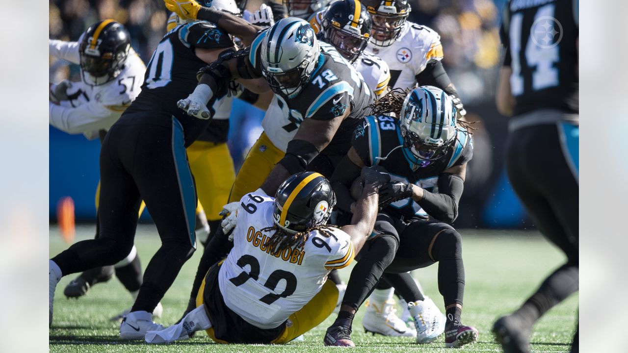 PHOTOS: Karl's top pics - Steelers at Panthers