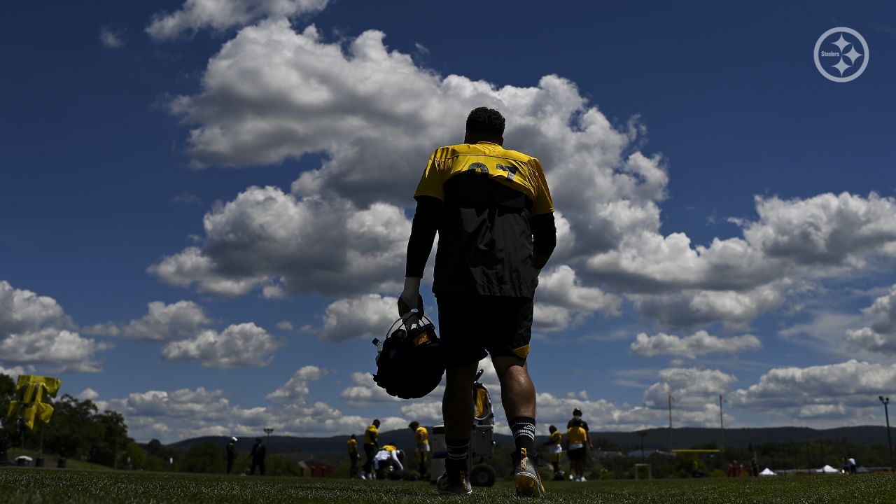 PHOTOS: Best of fans at Steelers Camp - Week 1