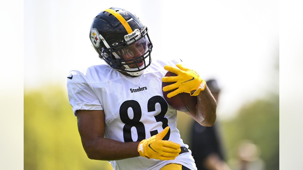 Former Steelers slot receiver Steven Sims signs contract with