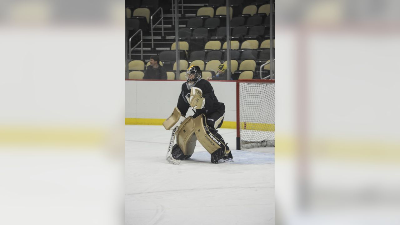 Marc-Andre Fleury to wear Steelers-inspired mask during Stadium Series  (Photo)