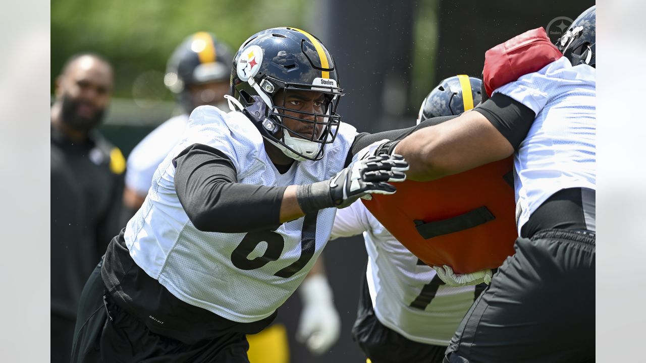 Steelers WR George Pickens earns praise from ex-Pro Bowler Allen Robinson:  'The sky is the limit for George' 