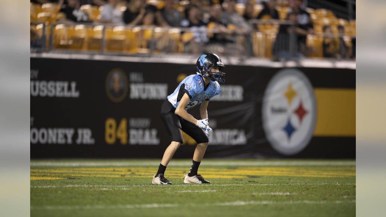 Final Score: Panthers route the Steelers 34-9 in preseason finale