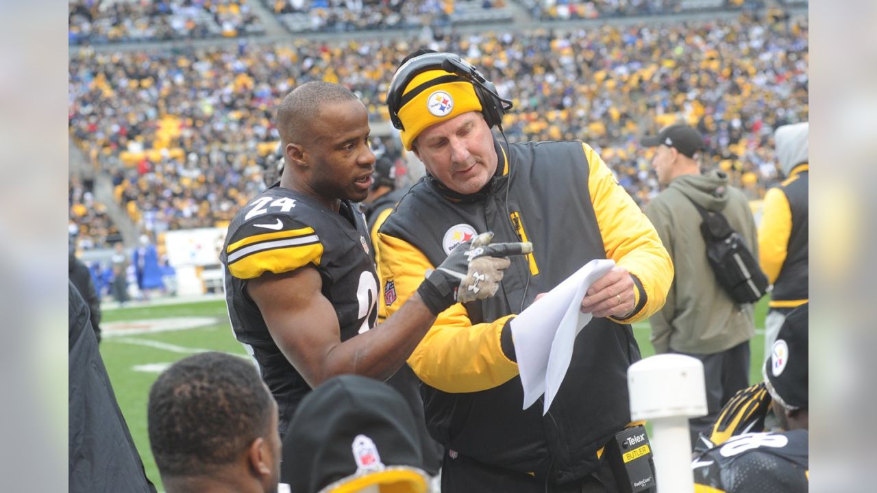 11,664 Pittsburgh Steelers Coaches Stock Photos, High-Res Pictures, and  Images - Getty Images