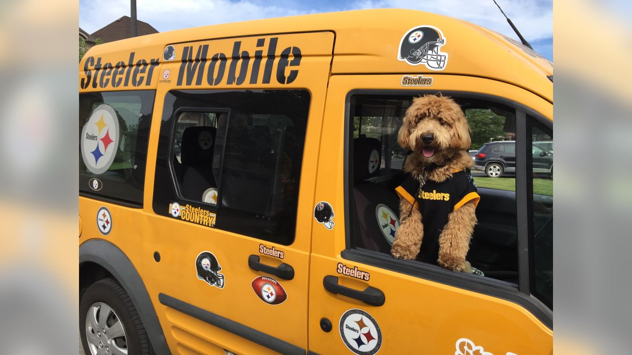 Me and My Steelers Pet