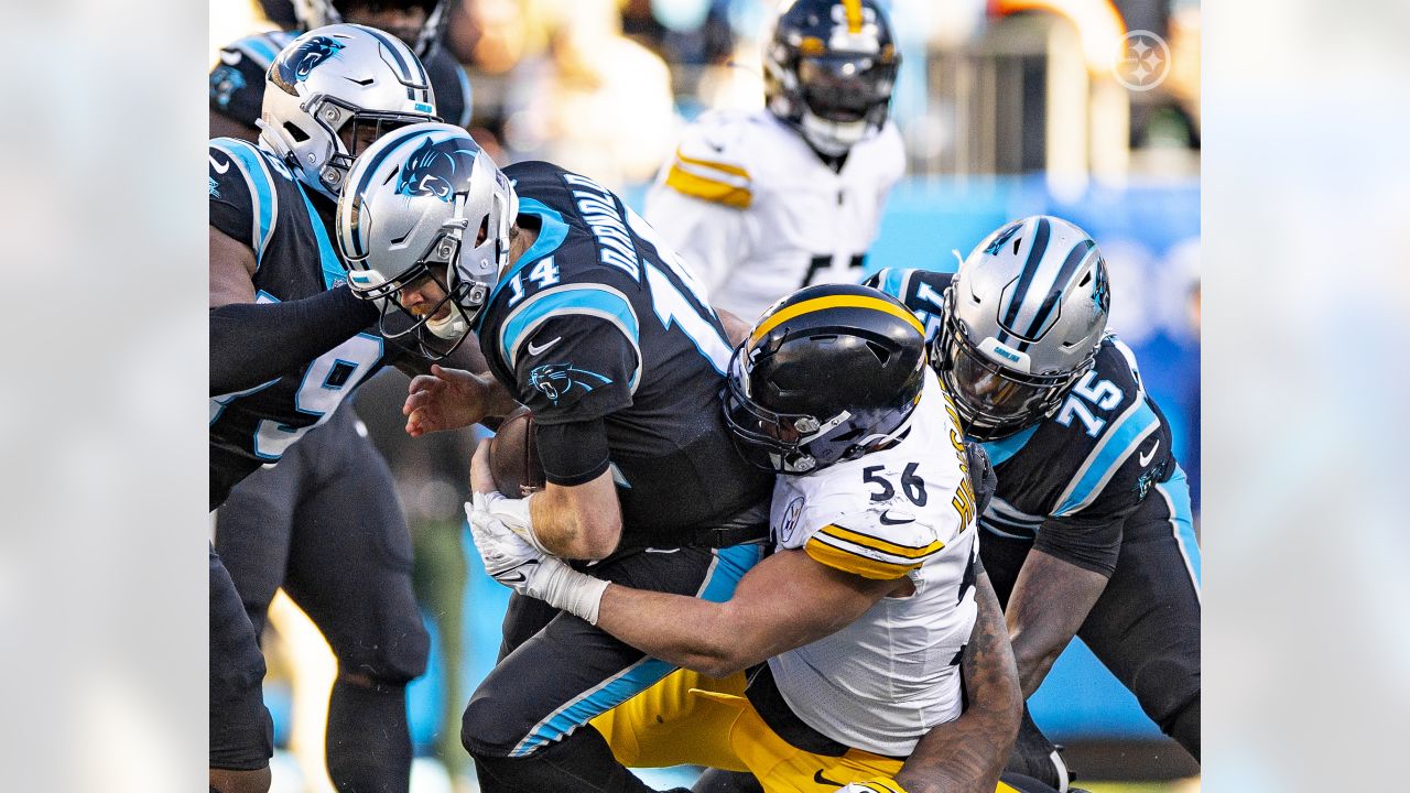 Panthers vs. Steelers highlights