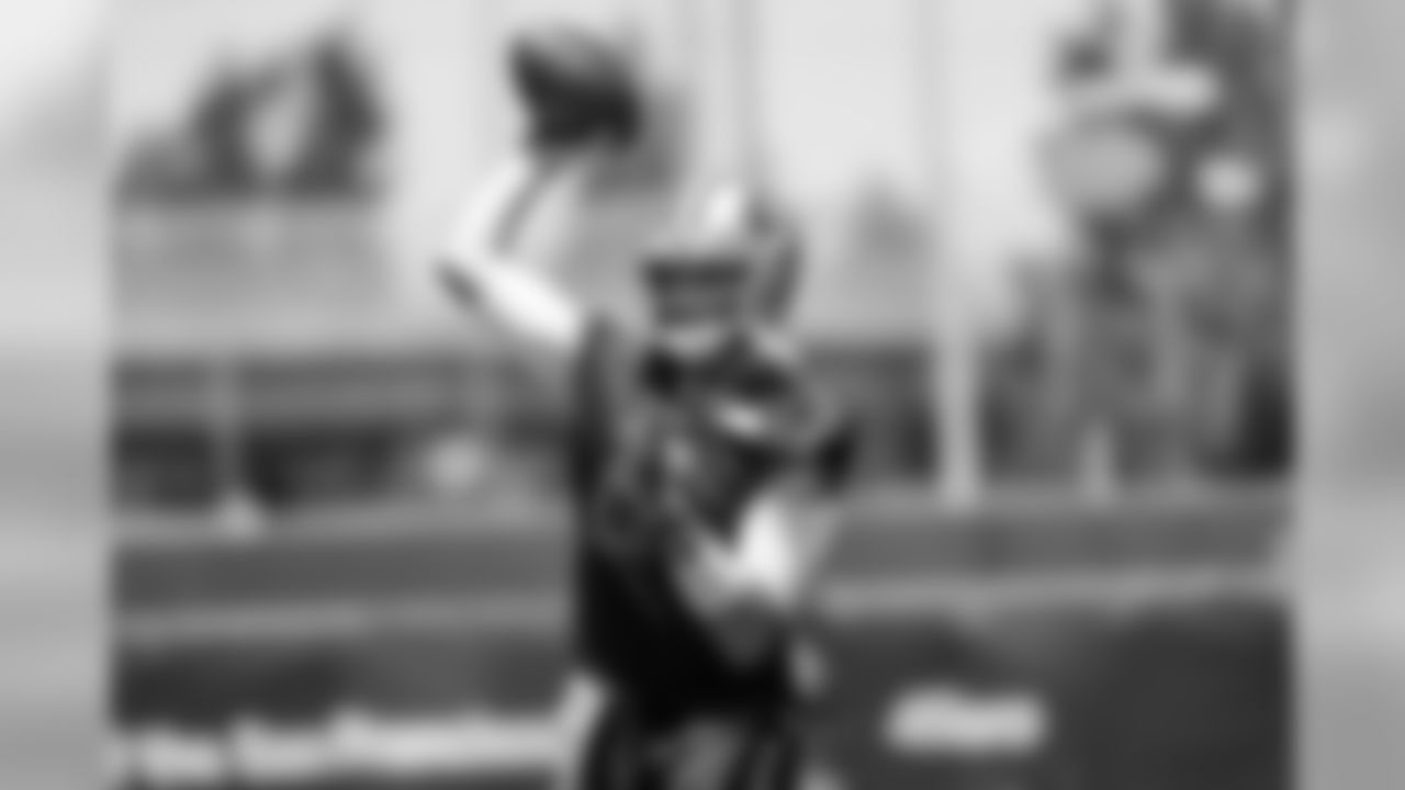 QB Brian Hoyer