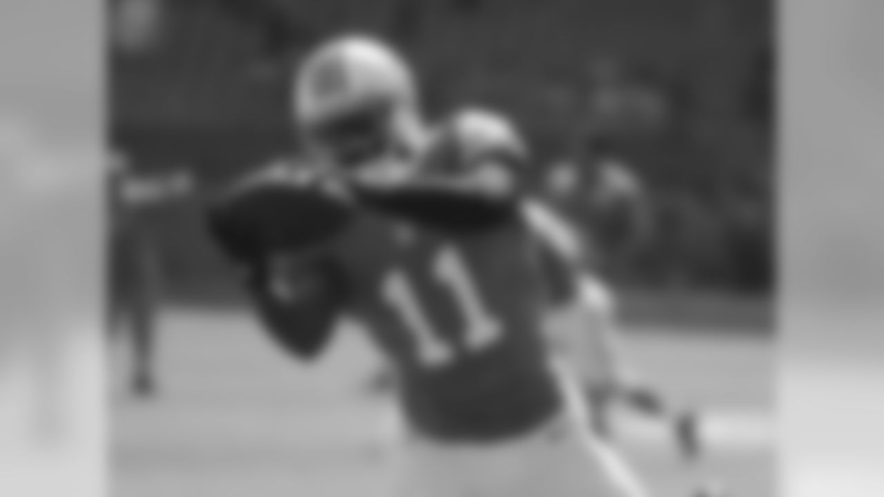 WR 11 DeVante Parker