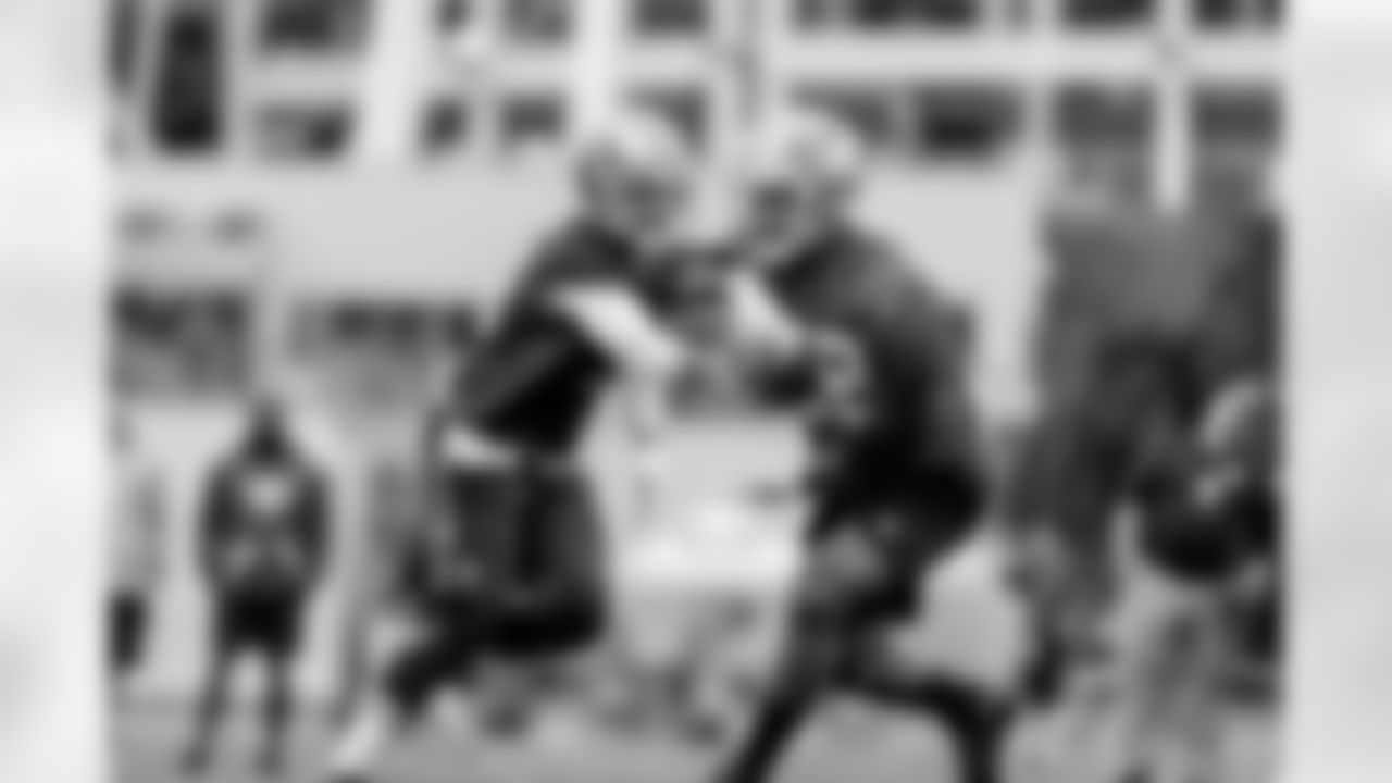 QB Brian Hoyer and RB Carlos Hyde