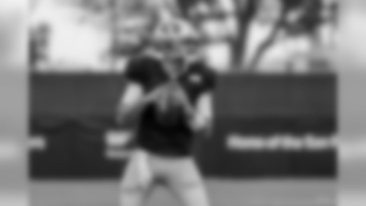 QB Brian Hoyer