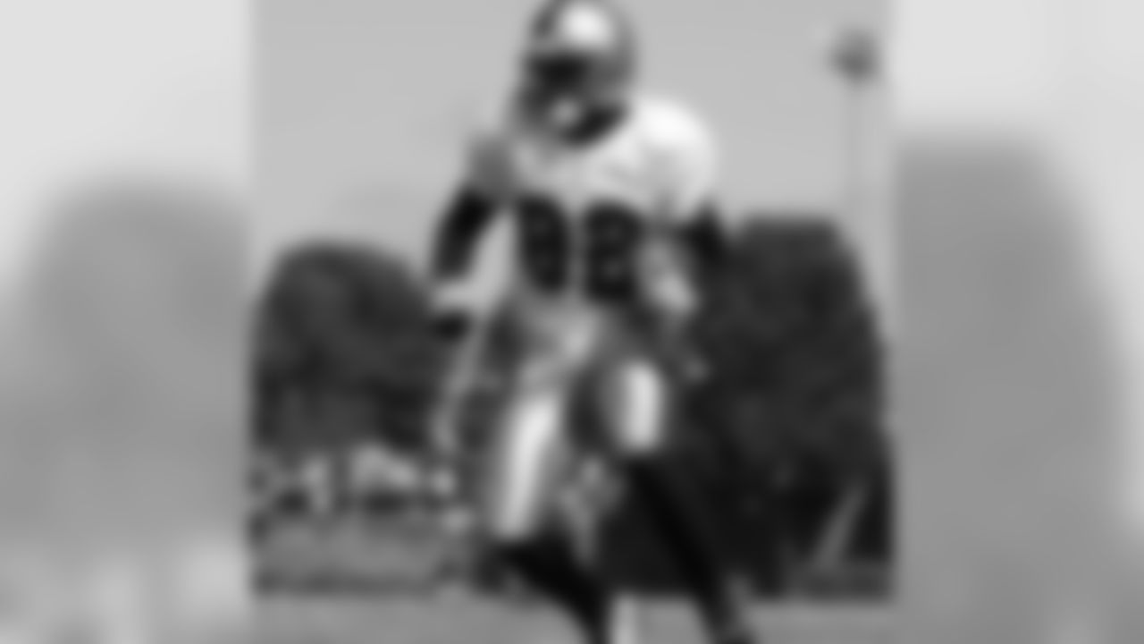 WR Bryant Johnson