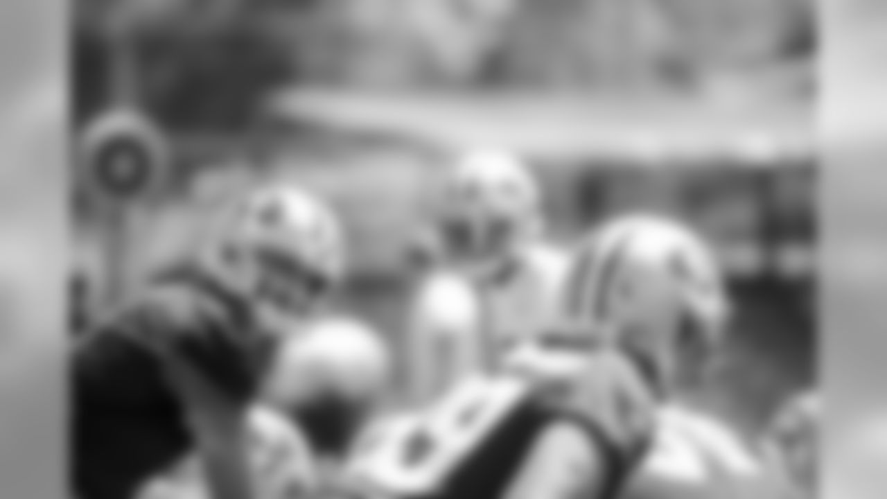 QB Brian Hoyer