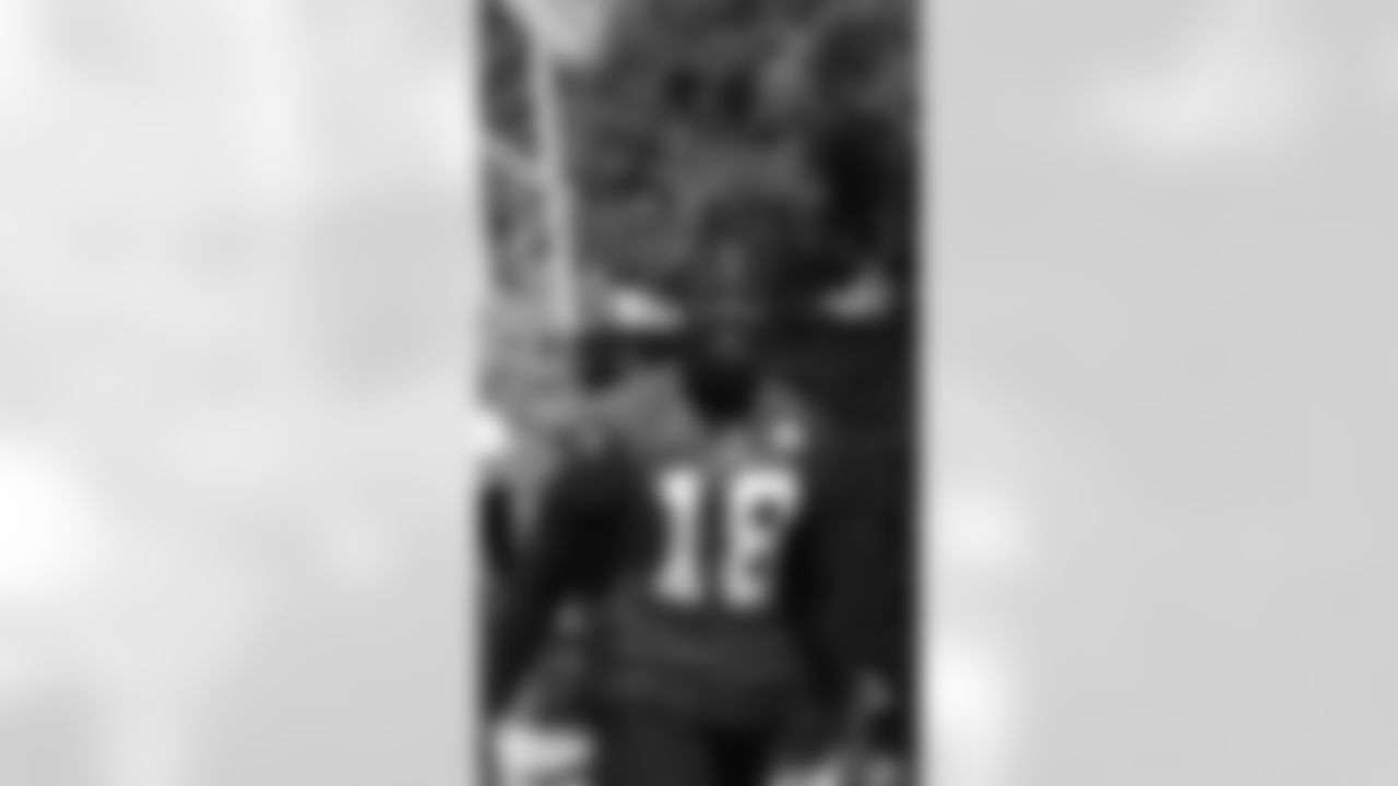 WR Mohamed Sanu