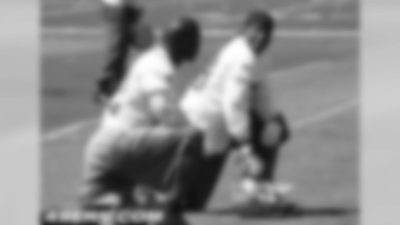 S Michael Lewis and S Dashon Goldson