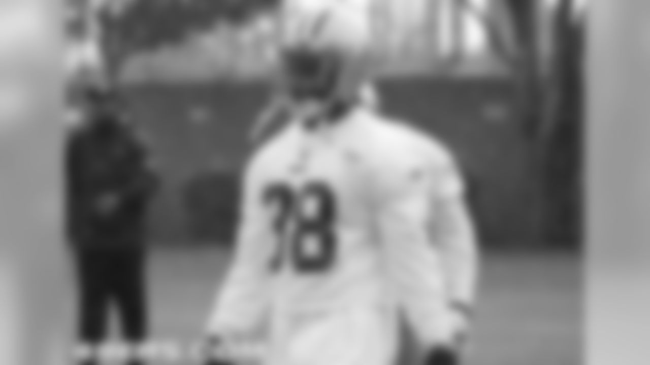S Dashon Goldson