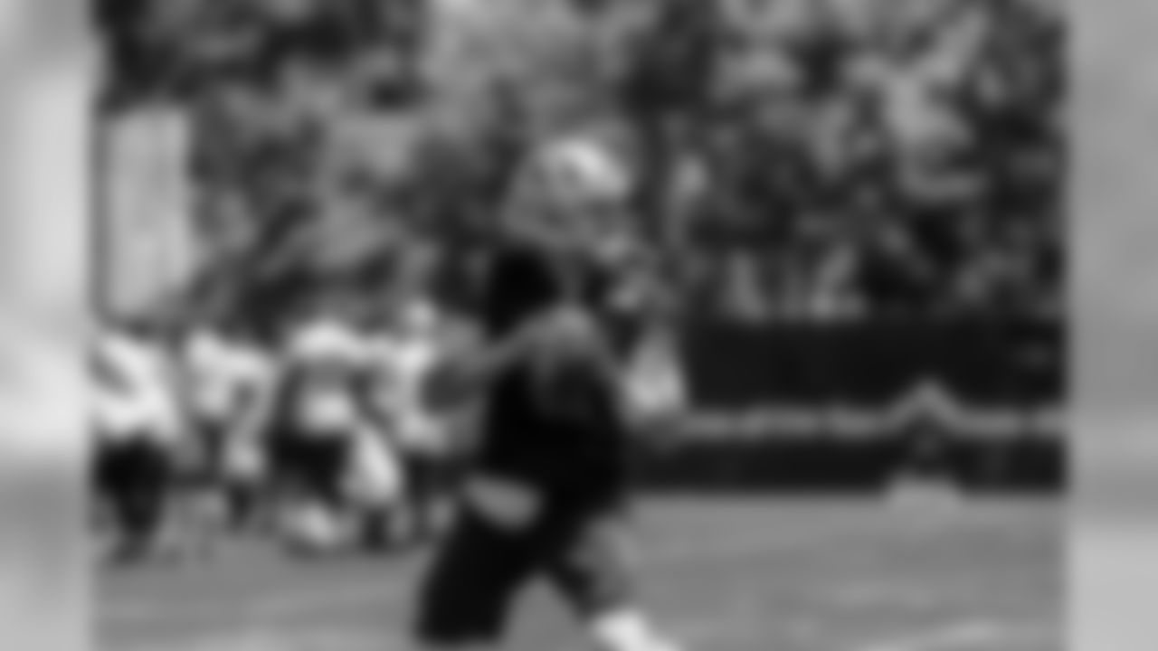 QB Brian Hoyer