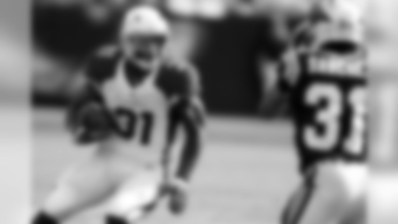 RB 31 David Johnson
