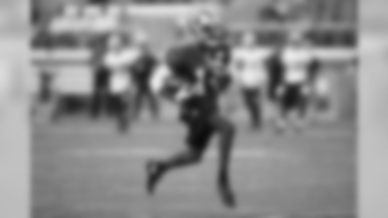 #14 Jerome Simpson - WR