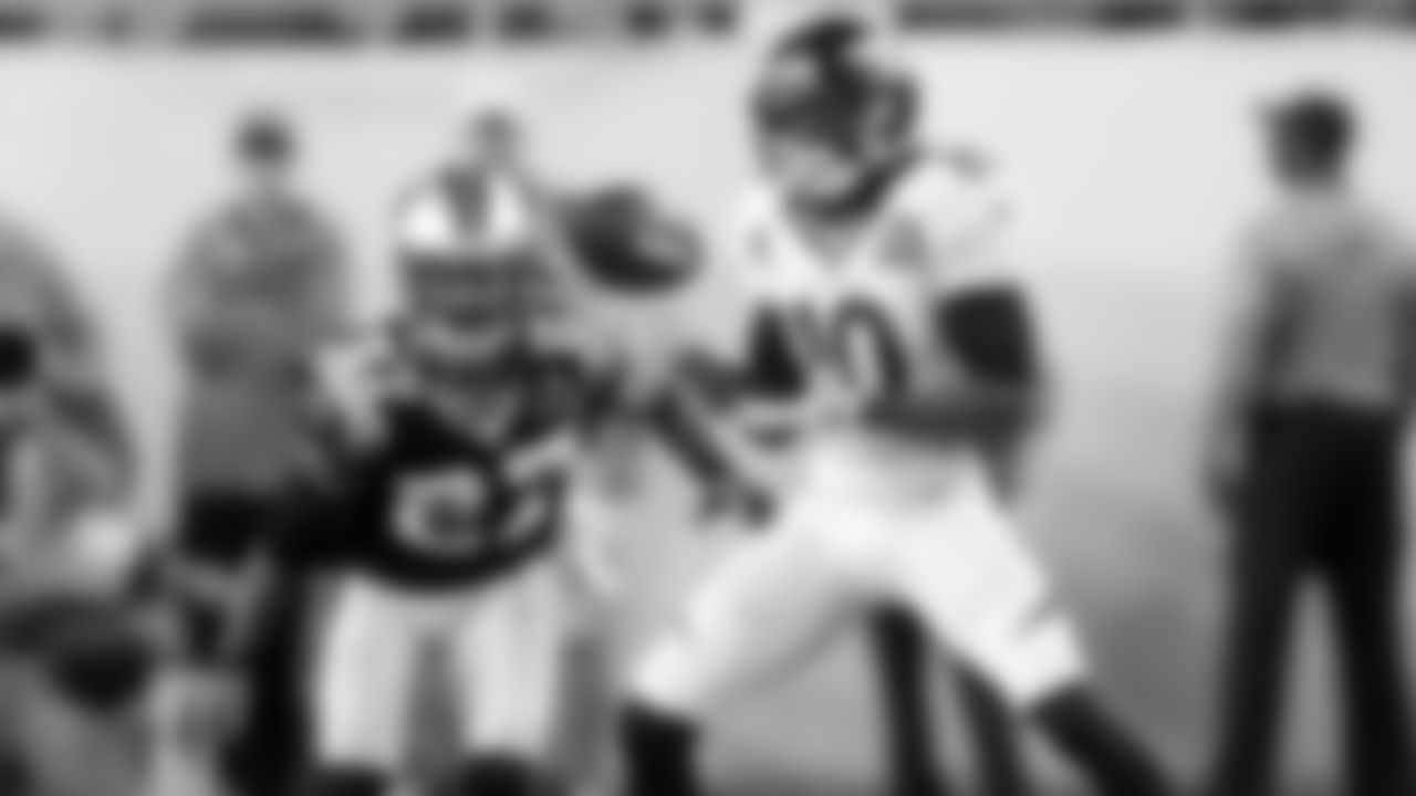 WR Emmanuel Sanders