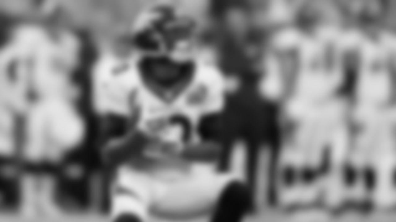 WR Emmanuel Sanders