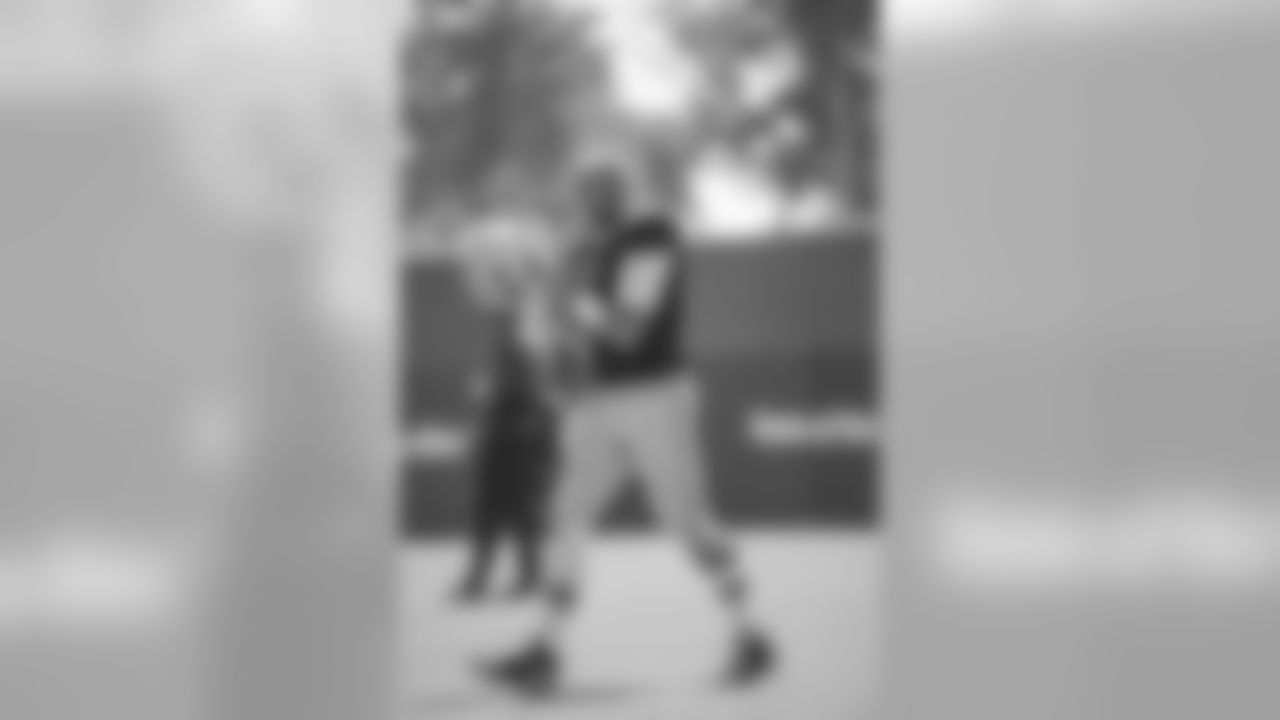 QB Brian Hoyer