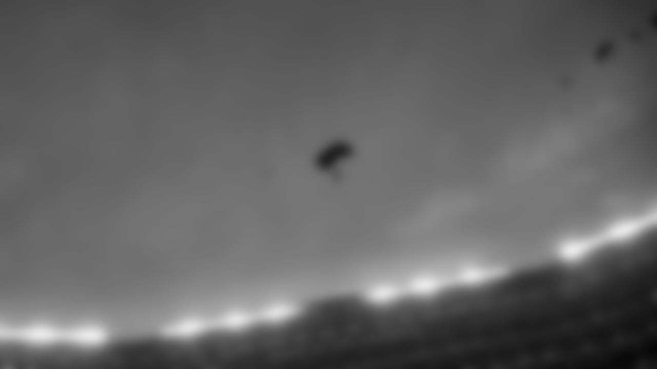 U.S. Army Golden Knights Parachute Team