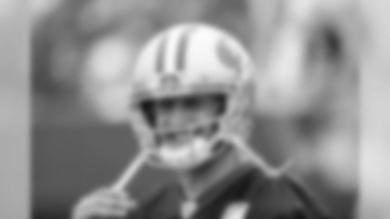 QB Brian Hoyer
