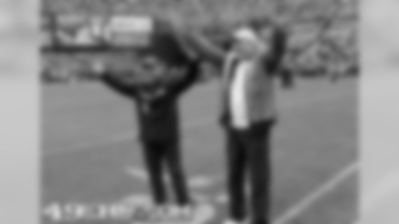 Sports Gallery Faithful Fan of the Game – Romano Durini