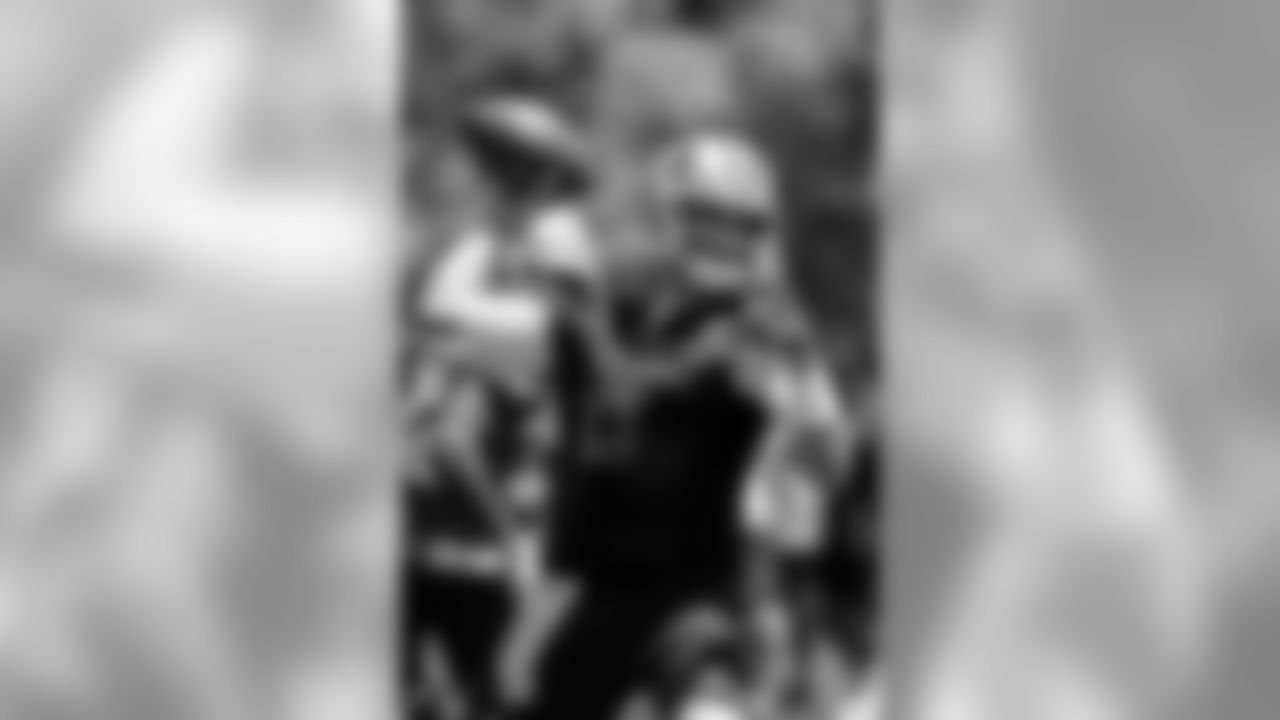 QB Brian Hoyer