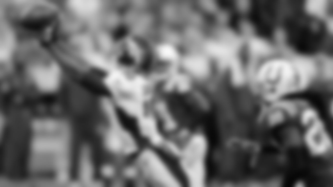 WR Emmanuel Sanders