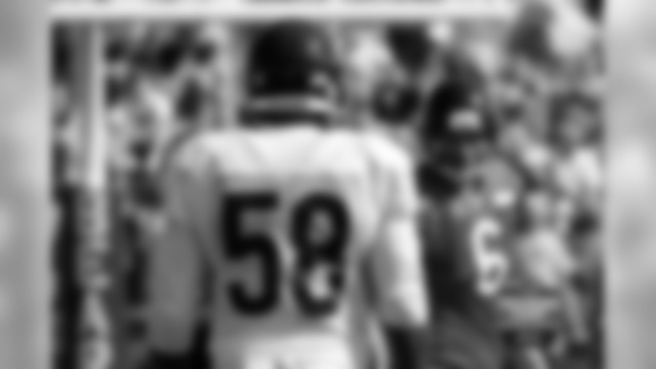 LB D.J. Williams stares down QB Jay Cutler.