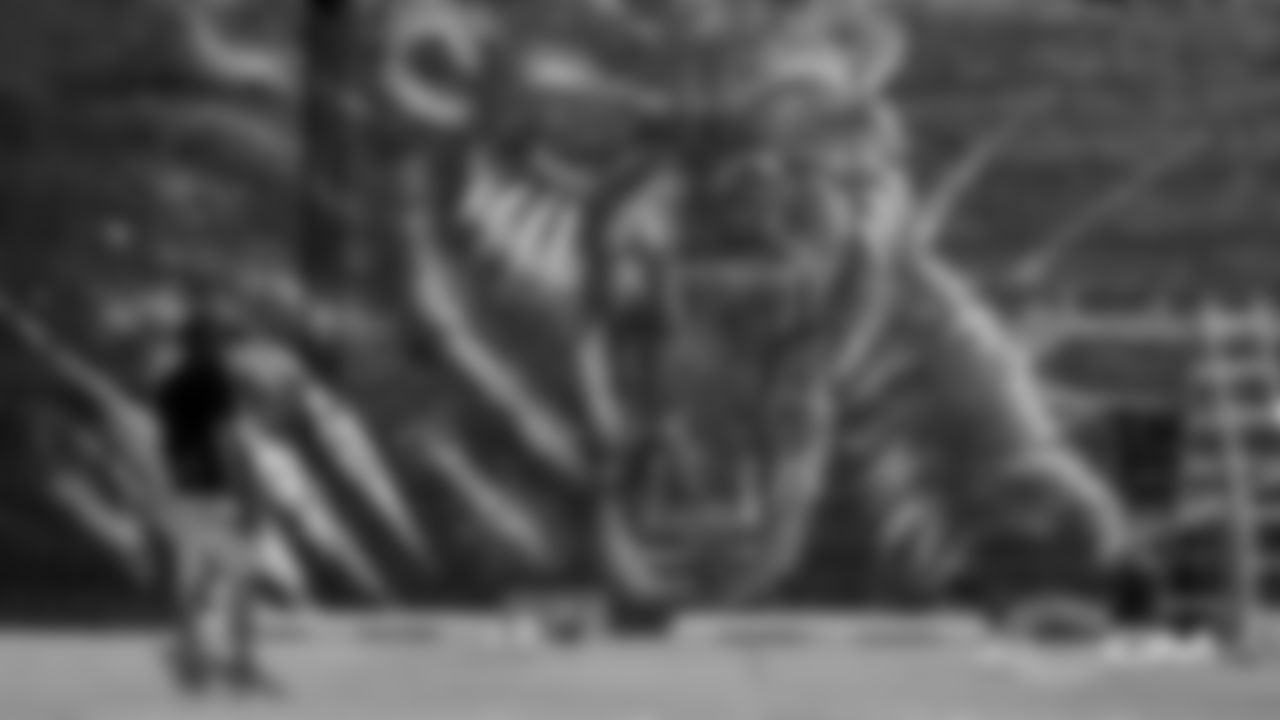 2020_CujoDah_Mural_035