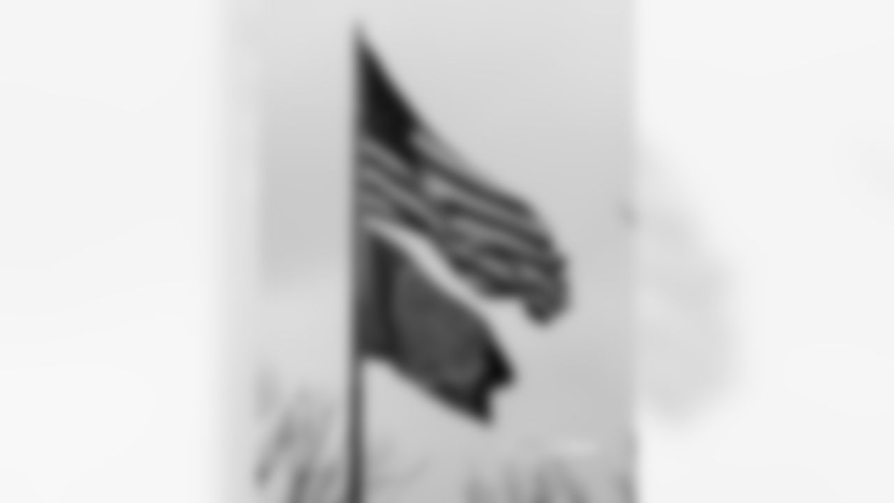 bears_lights_and_flag_02