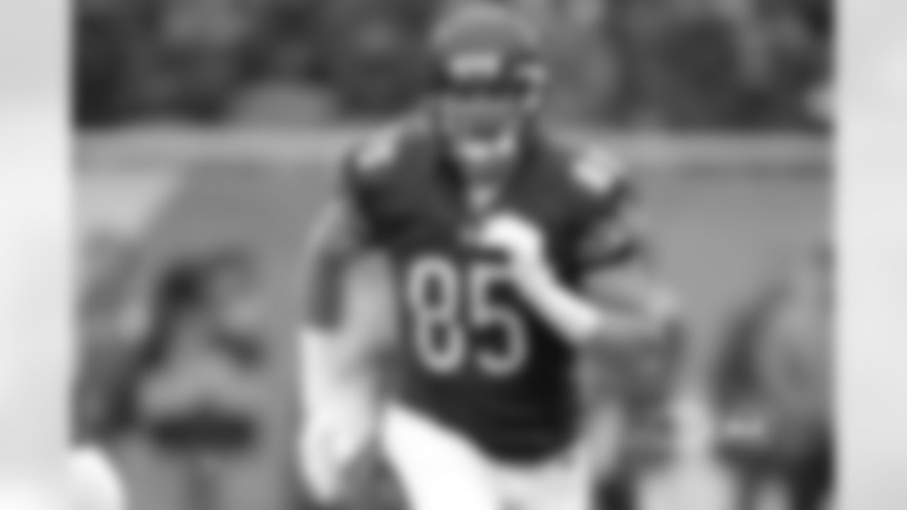 TE Daniel Brown