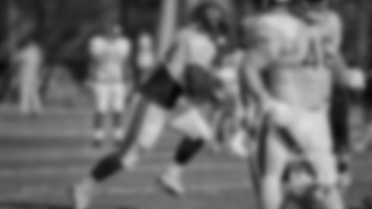 RB Jordan Howard