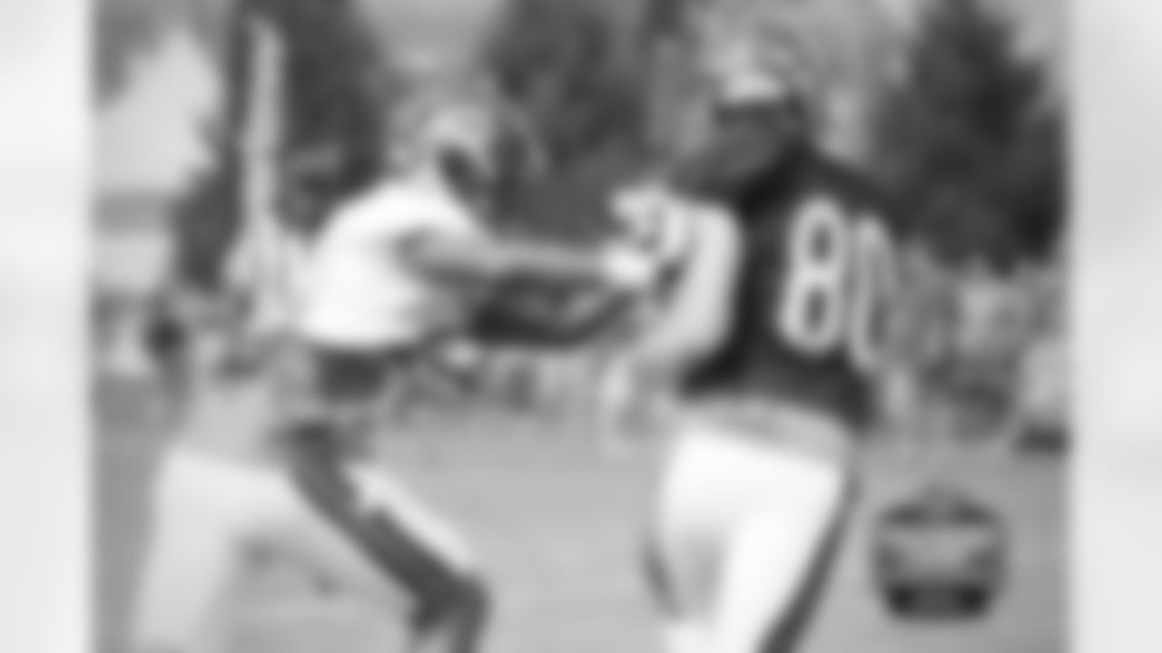 WR Marc Mariani (80)