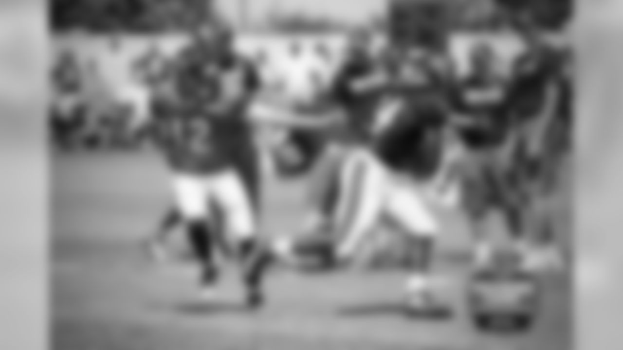 QB David Fales (12) hands off to RB Jordan Howard (24).