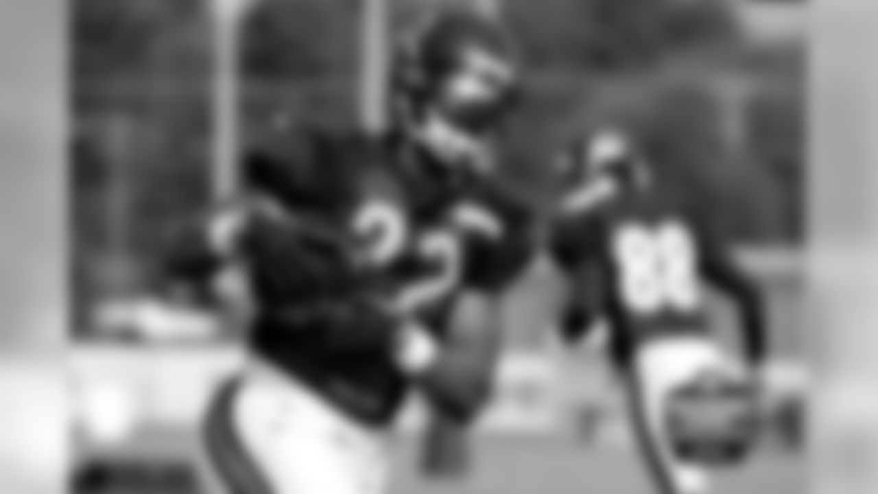 RB Matt Forte