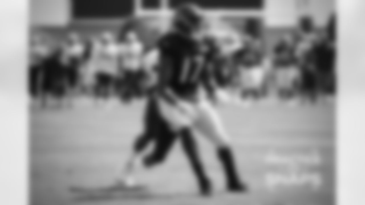 WR Alshon Jeffery