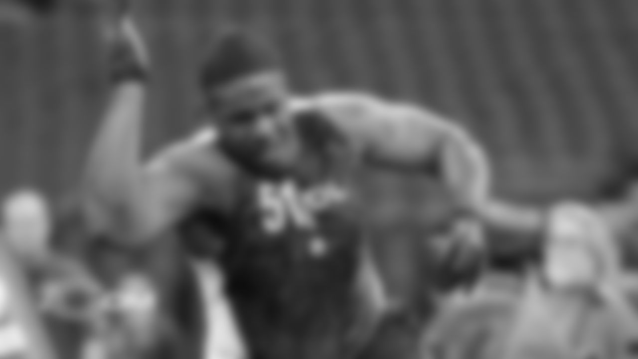 DL Nick Williams, 2013