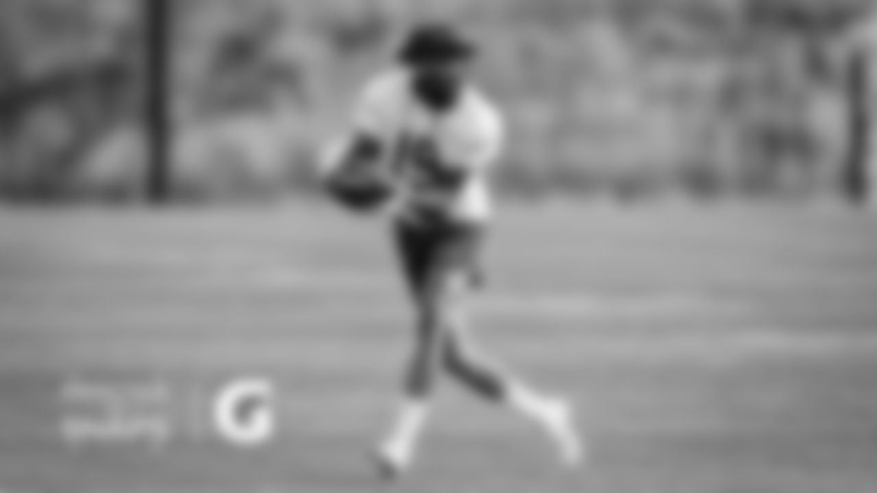 WR Ted Ginn Jr.