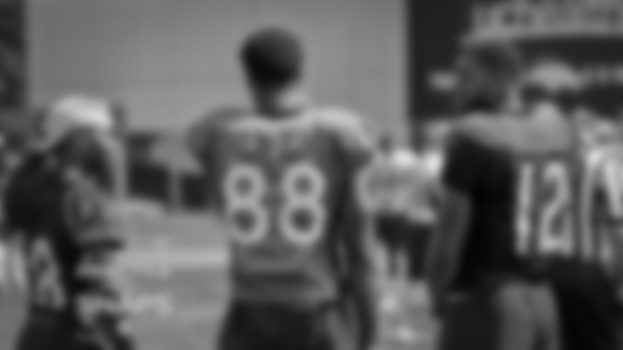 WR Taylor Gabriel, WR Allen Robinson II