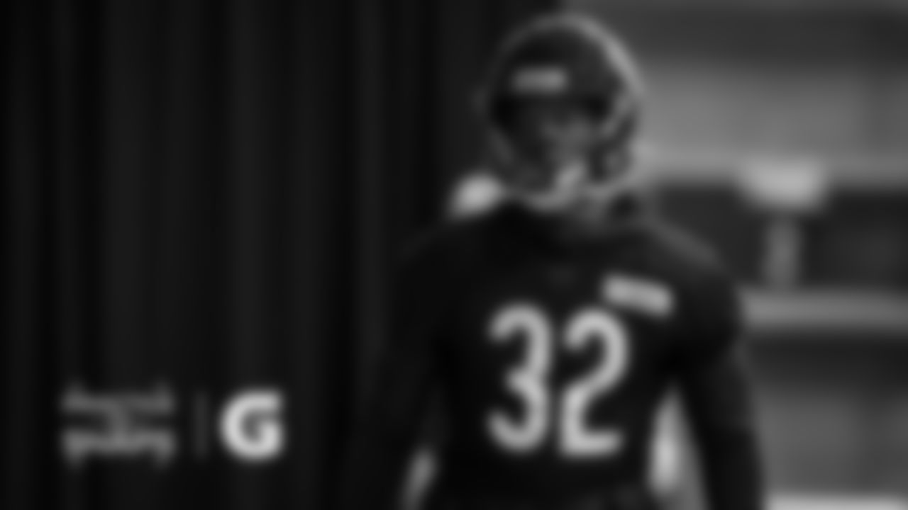 RB David Montgomery